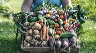 La UTT entregará 3.000 bolsones de verduras a vecinos de Villa Azul