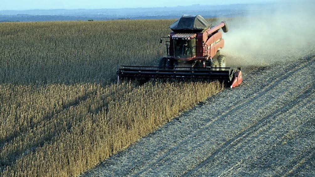 El sector agroexportador liquidó en abril US$ 1.500 millones con caída interanual del 20%