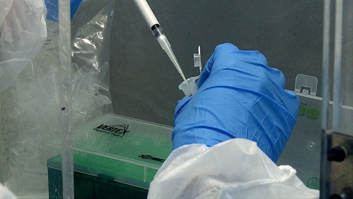 Desarrollan desinfectantes de superficies para mitigar los contagios por coronavirus