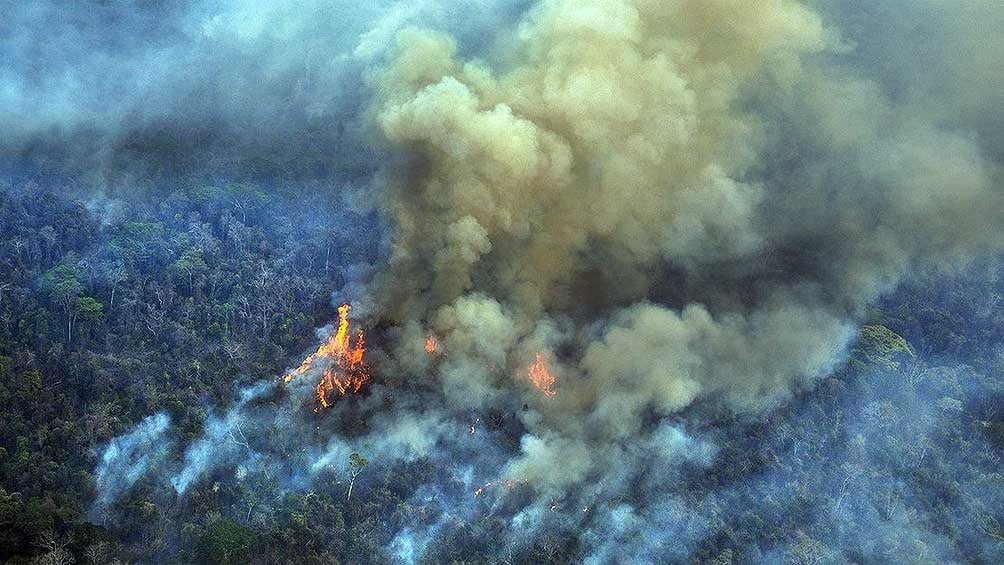 En plena pandemia, en junio se produjo un récord de deforestación en la Amazonía