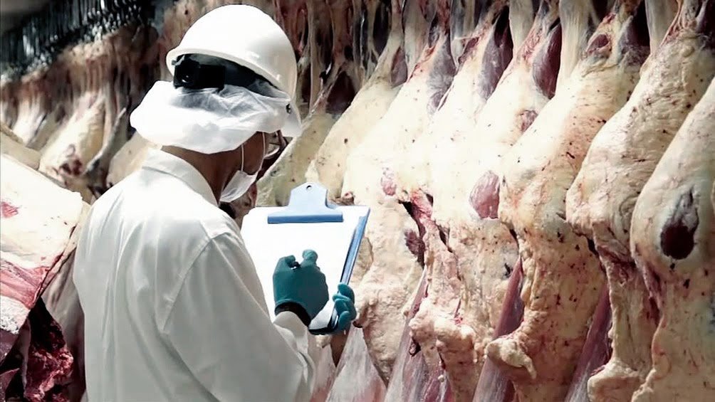 Las exportaciones de carne crecieron en agosto un 23% con respecto a 2019