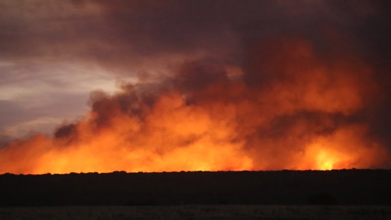 Se quemó parte de una reserva ecológica en Corrientes y hay alerta máxima