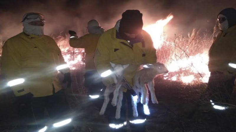 Brigadistas del Plan de Manejo del Fuego se suman al combate del incendio en las islas del Paraná