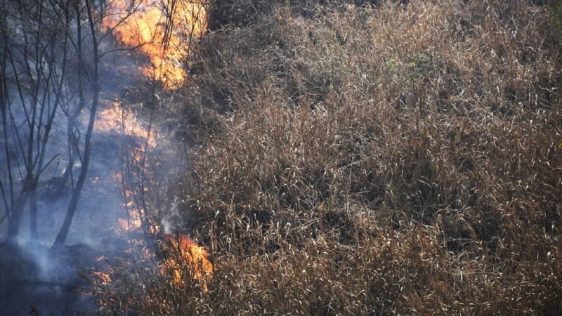 Bomberos de Formosa intervino en más de 1.500 incendios por quema de pastizales