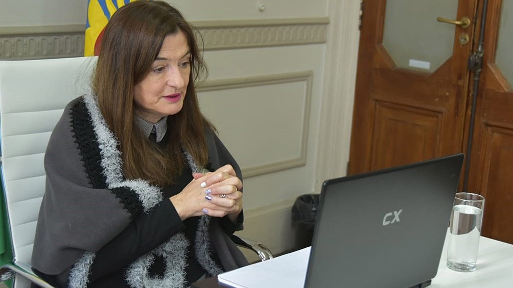 Estela Díaz celebró el apoyo a la IVE en el Senado