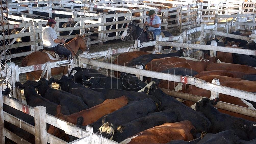 Crecen las exportaciones de carne argentina por la demanda récord de China