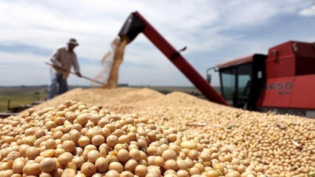 El Gobierno autorizó el pago de compensaciones a pequeños y medianos productores de soja
