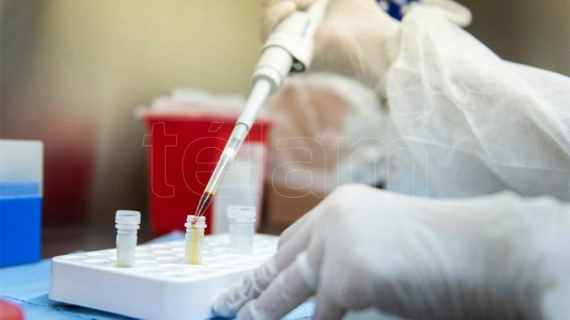 Diecisiete nuevos casos de la variante Delta de coronavirus en el país