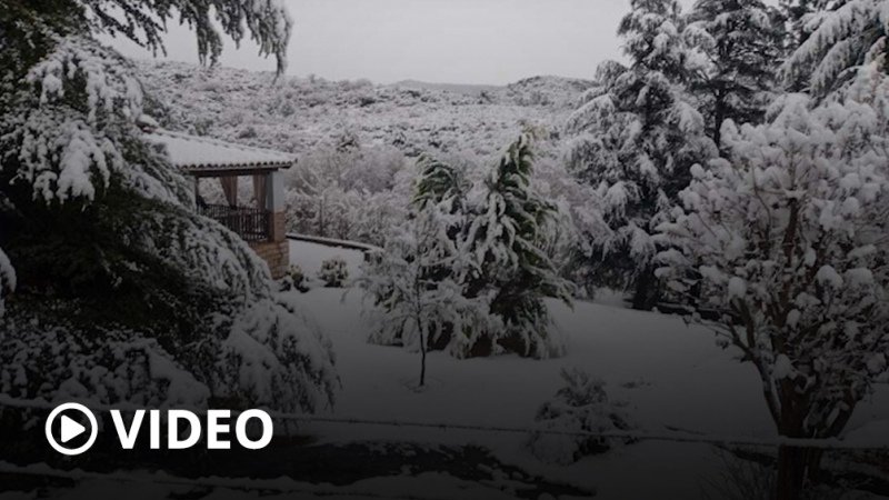 La intensa nevada en Córdoba llegó a la capital por primera vez en 14 años