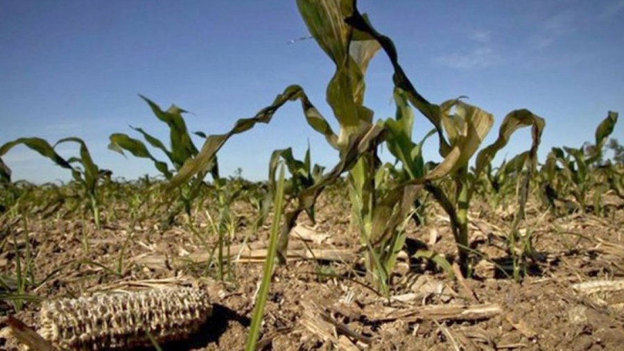 Agricultura declaró la emergencia agropecuaria en Santiago del Estero por sequía
