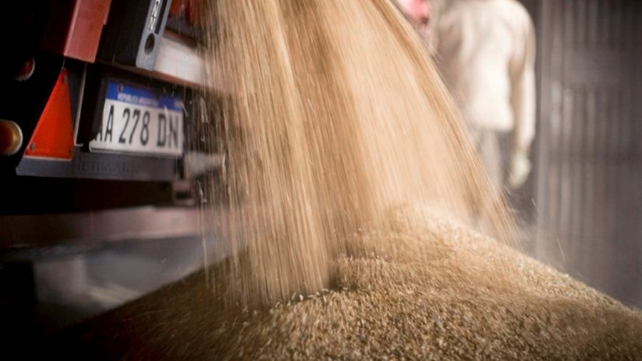 Caen las proyecciones sobre el trigo y el Gobierno busca mejorar las expectativas