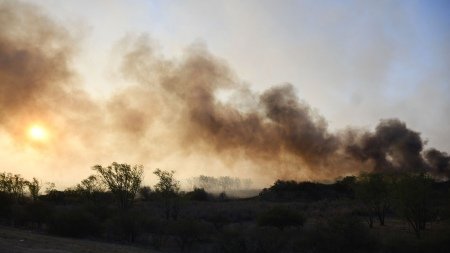 Corrientes y Entre Ríos son las únicas provincias con incendios forestales activos