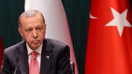 Erdogan reconoció "deficiencias" en la respuesta al terremoto