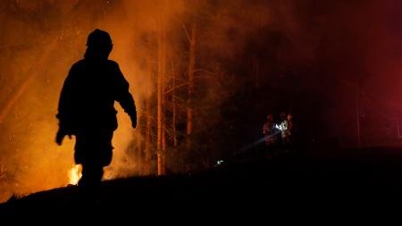 El costo de los incendios forestales en Chile fue de 309 millones de dólares