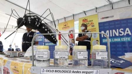 Perú en estado de alerta por la "intensificación de la transmisión del dengue"