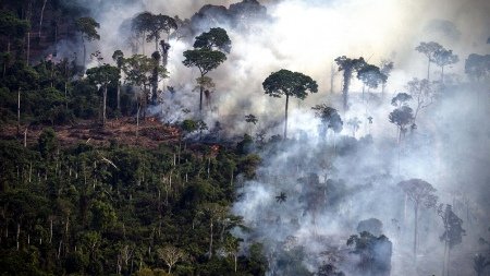 Los incendios en el Amazonas generaron un récord de emisiones de gases en la región