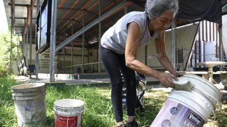 Santiago del Estero: aumentan los casos de dengue y estiman que seguirán creciendo