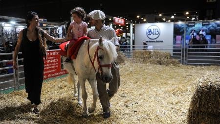 "Todos somos iguales arriba del caballo" en la Cumbre de Deportes Ecuestres Adaptados