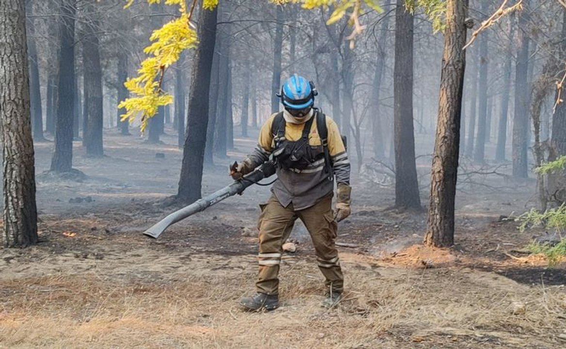 Córdoba otra vez con incendios: se detuvo a un joven de 19 años por fuego en La Calera