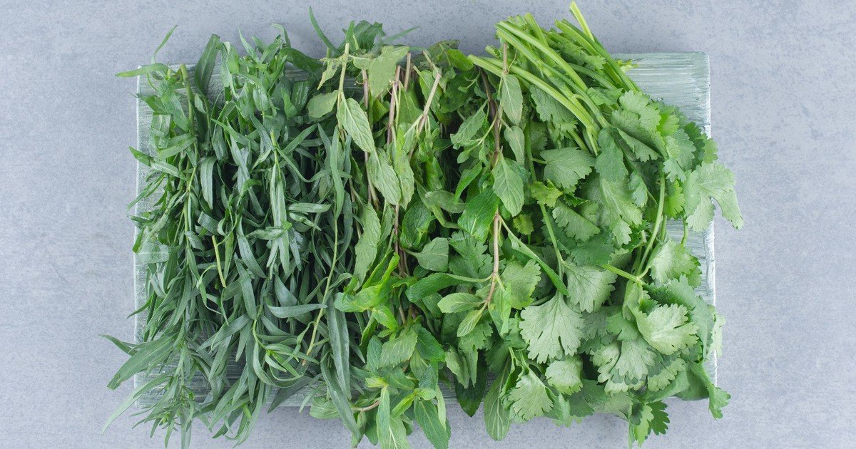 ¿Qué es el culantro y en qué se diferencia del cilantro?